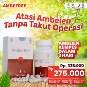 obat ambeien,obat ambeien ampuh,ambefree
